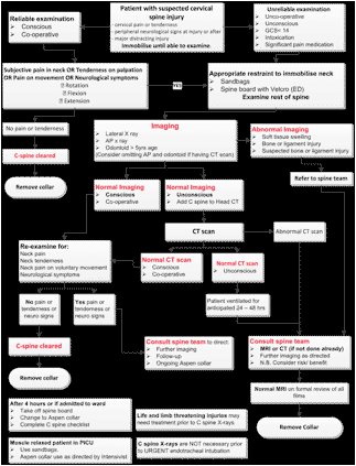 Westmead hospital cervical spine injury chart